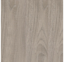 Holzstruktur Nahaufnahme