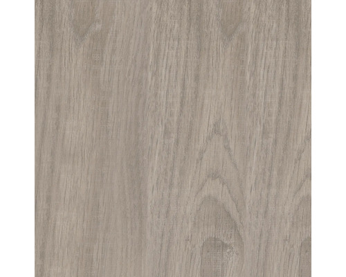 Holzstruktur Nahaufnahme