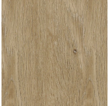 Holzstruktur Nahaufnahme