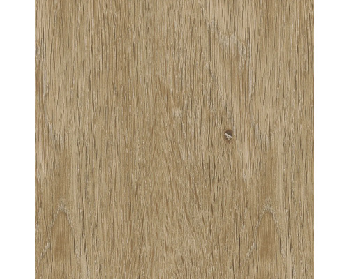 Holzstruktur Nahaufnahme