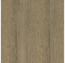 Holzstruktur Nahaufnahme