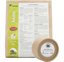 Packung Adalia Marienkäfer gegen Blattläuse mit Produktinformationen