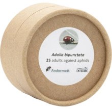 Packung mit Adalia bipunctata Marienkäfern gegen Blattläuse