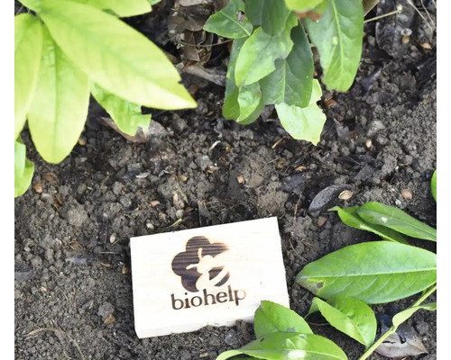 Holzschild Biohelp im Gartenbeet