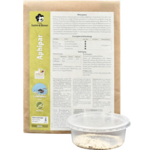 Aphipar Nützlinge gegen Blattläuse in einer transparenten Dose mit Produktinformationen auf der Verpackung.