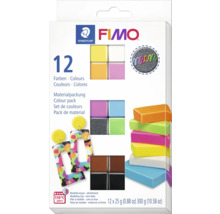 Fimo Modelliermasse, Packung mit zwölf Farben