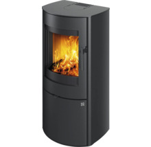Kaminofen mit Holzfeuer