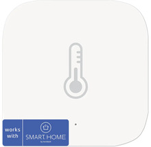 Thermometer Symbol für Smart Home System