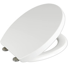 Toilettendeckel aus Sanitärkeramik