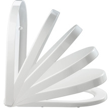 Toilettensitz mit Absenkautomatik in verschiedenen Öffnungspositionen