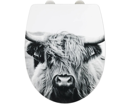 Toilettendeckel mit Hochlandrind Motiv
