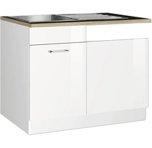 Spülenunterschrank mit zwei Türen und Spüle