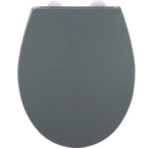 Toilettendeckel aus Kunststoff