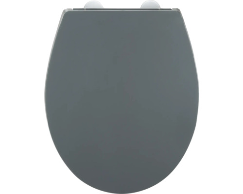 Toilettendeckel aus Kunststoff