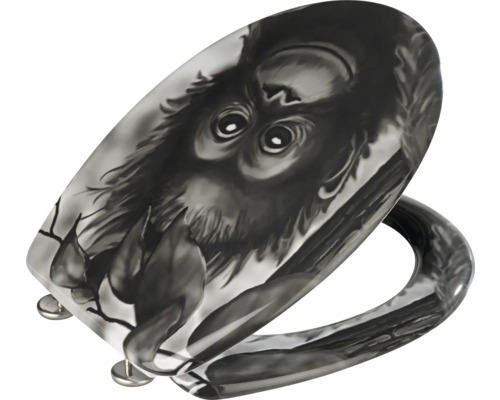 WC-Sitz mit Affenmotiv
