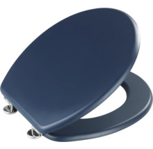 Blauer Toilettensitz mit Edelstahlscharnieren
