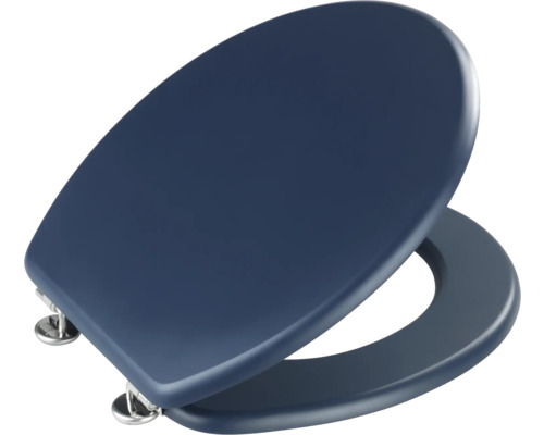 Blauer Toilettensitz mit Edelstahlscharnieren