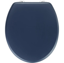 Toilettendeckel aus Kunststoff