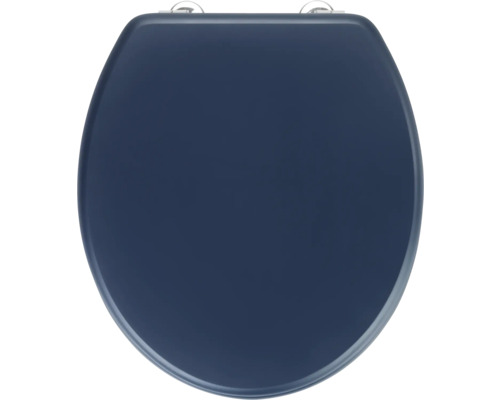 Toilettendeckel aus Kunststoff