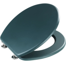 Toilettendeckel aus Kunststoff mit Edelstahlscharnieren