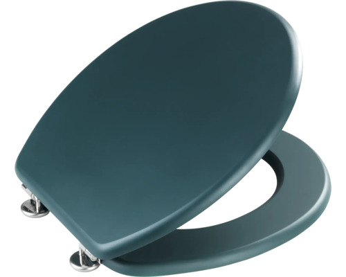 Toilettendeckel aus Kunststoff mit Edelstahlscharnieren