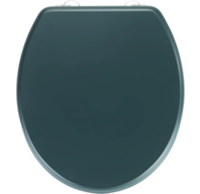 Geschlossener Toilettensitz