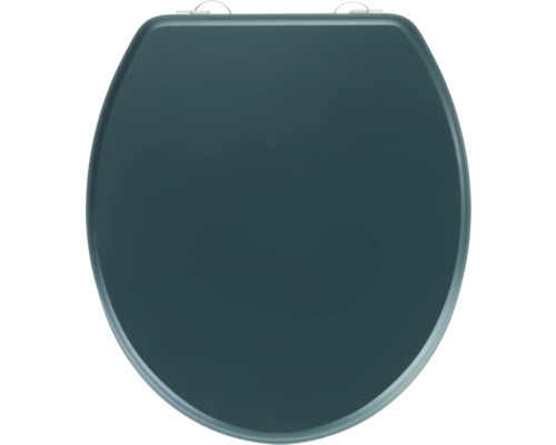 Geschlossener Toilettensitz