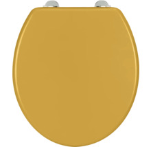 Toilettendeckel aus Holz mit Befestigung