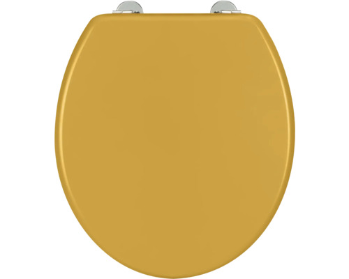 Toilettendeckel aus Holz mit Befestigung