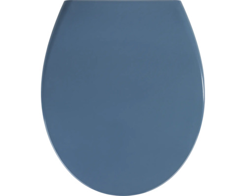 Toilettendeckel in ovaler Form