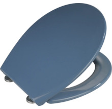 Toilettendeckel aus Kunststoff