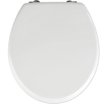 Toilettendeckel aus Sanitärkeramik