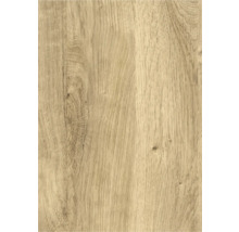 Holzstruktur, Detailansicht