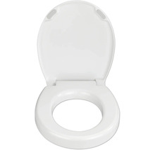 Toilettensitz mit Deckel geöffnet
