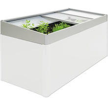 Hochbeet mit Frühbeetaufsatz und Bepflanzung