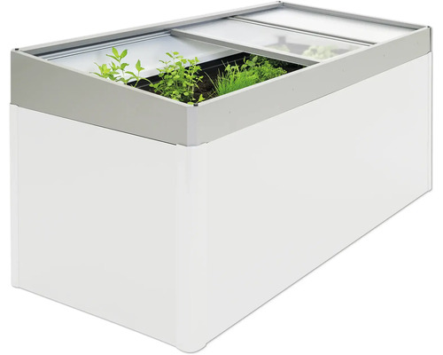 Hochbeet mit Frühbeetaufsatz und Bepflanzung