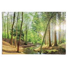 Foto eines Waldbaches mit Bäumen im hellen Tageslicht