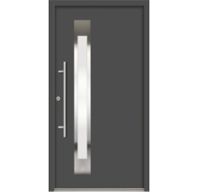 Moderne Haustür mit Edelstahlgriff und Lichtausschnitt