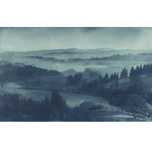 Landschaftsbild mit Bergen, Wäldern und Nebel