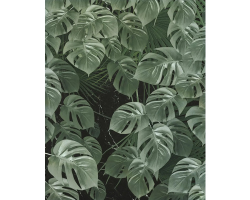 Tapete mit Monstera- und Palmenblattmuster
