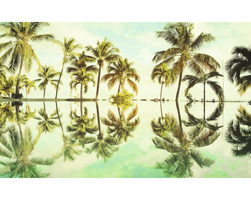 Palmwedel mit Spiegelbild im Wasser