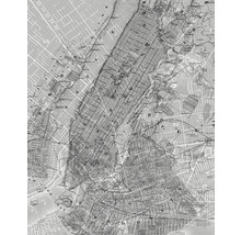 Historische Karte von New York