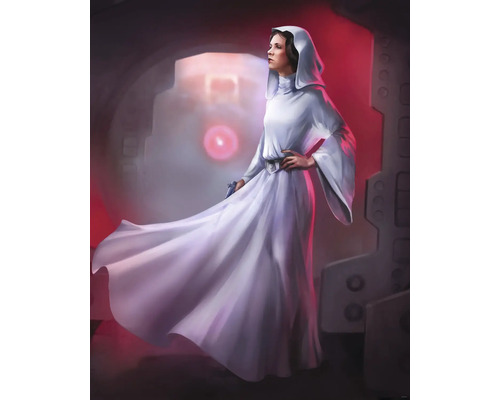 Fototapete Vlies DX4-046 Disney Edition 4 Star Wars Classic Leia 4-tlg. 200 x 250 cm Illustration einer Frau mit Kapuze und Kleid