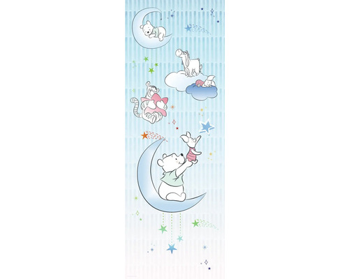 Fototapete Vlies DX2-082 Disney Edition 4 Winnie Pooh Piglet 2-tlg. 100 x 280 cm Winnie Puuh und Freunde auf einer Kinderzimmer Tapete mit Sternen und Monden.