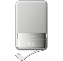 EcoFlow Powerbank mit Kabel