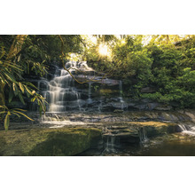 Kaskadenwasserfall im Wald mit üppiger Vegetation