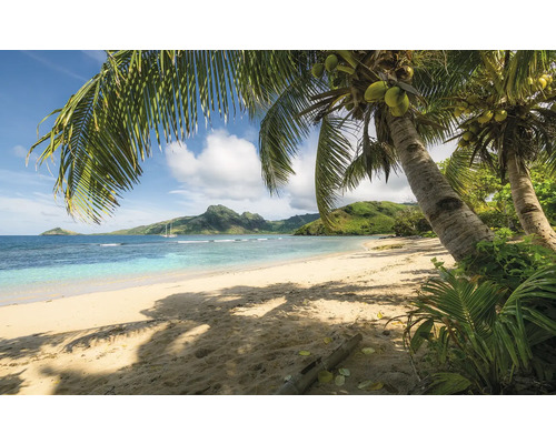 Tropische Strandszene mit Palmen und blauem Meer