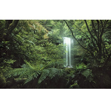 Wasserfall umgeben von dichter Vegetation