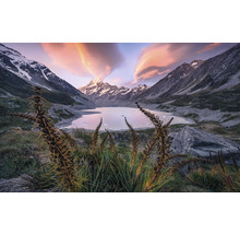 Landschaft mit See, Bergen und Vegetation im Vordergrund