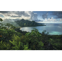 Landschaft mit Bergen, Küste und tropischer Vegetation